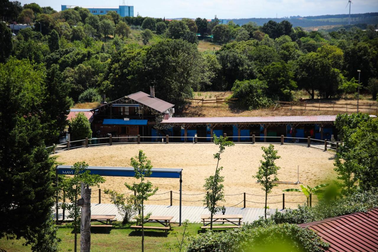 Gumusdere Mavi At Hotel Blue Horse מראה חיצוני תמונה