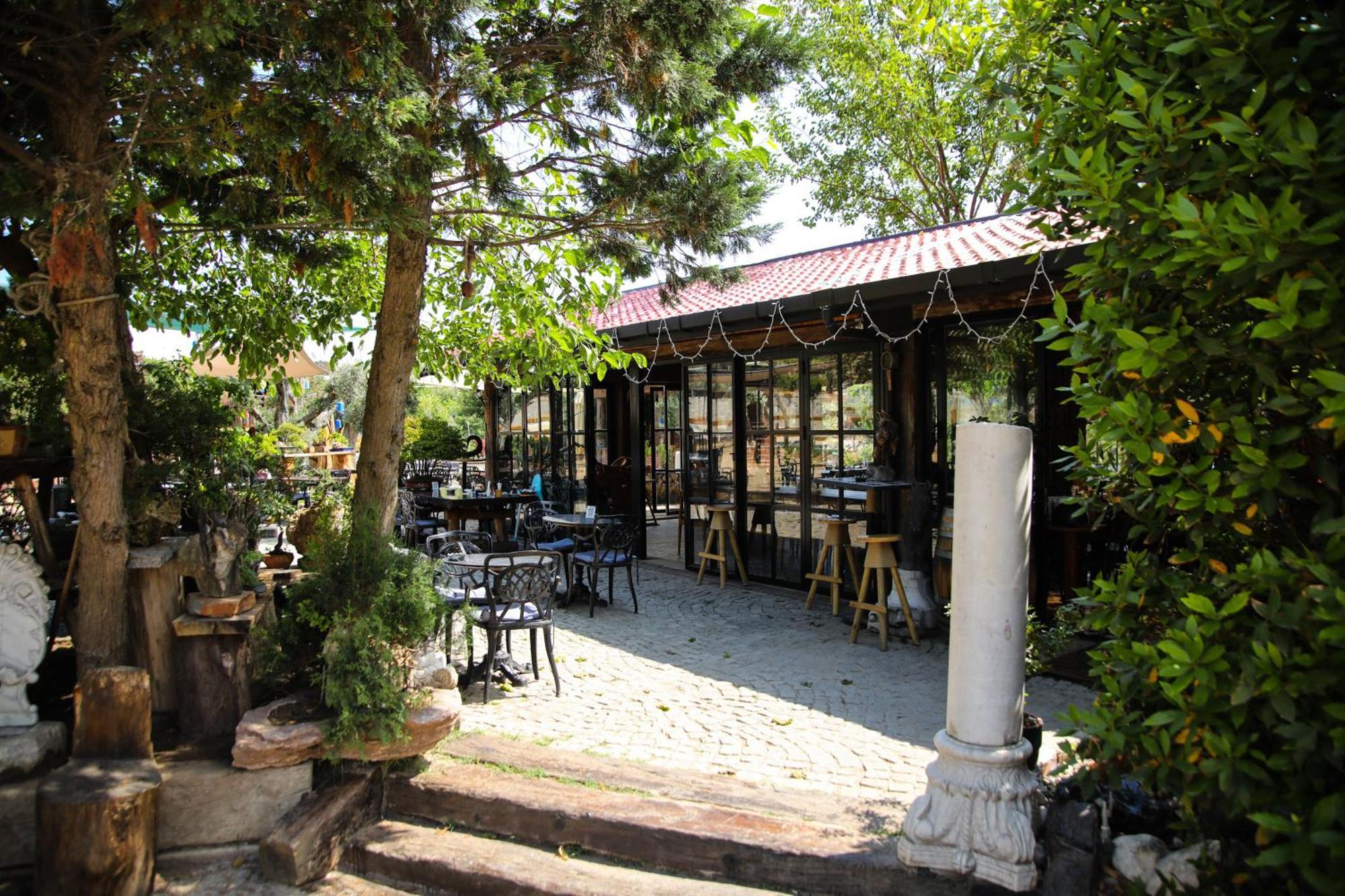 Gumusdere Mavi At Hotel Blue Horse מראה חיצוני תמונה
